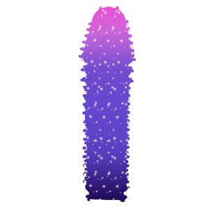Fundas y Extensiones