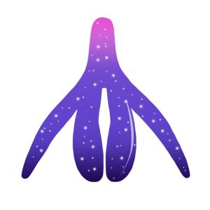 Multiorgasmos